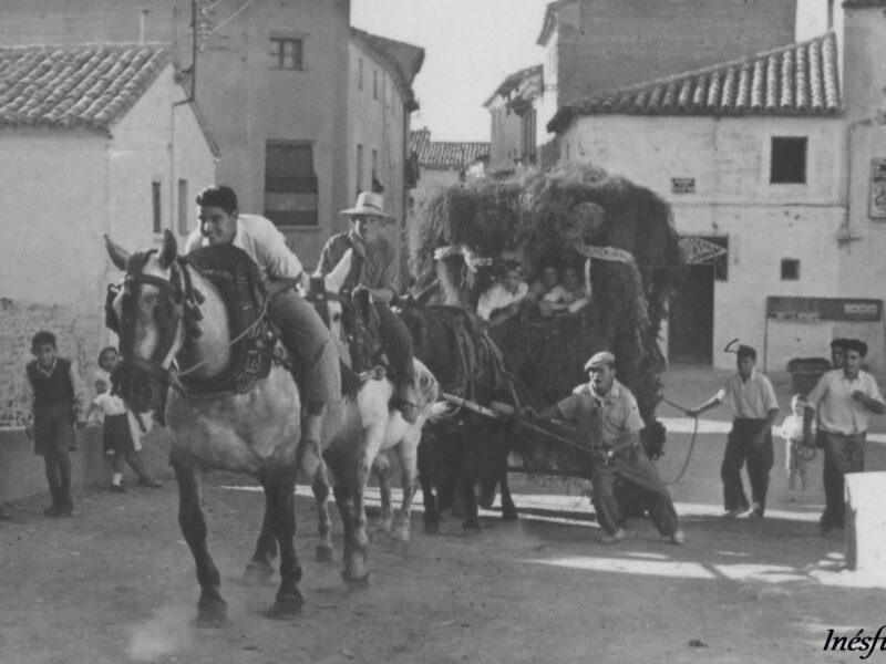2 CARROZA SUBIENDO EL PUENTE MATIAS