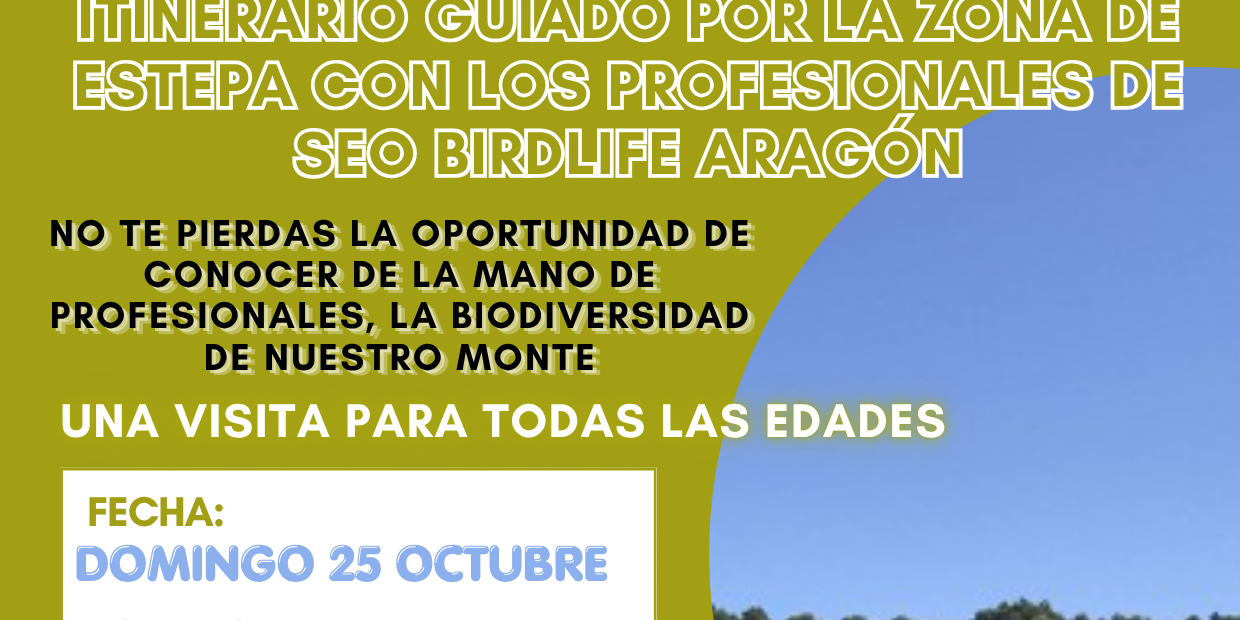 VISITA GUIADA SEOBIRD LIFE (1)