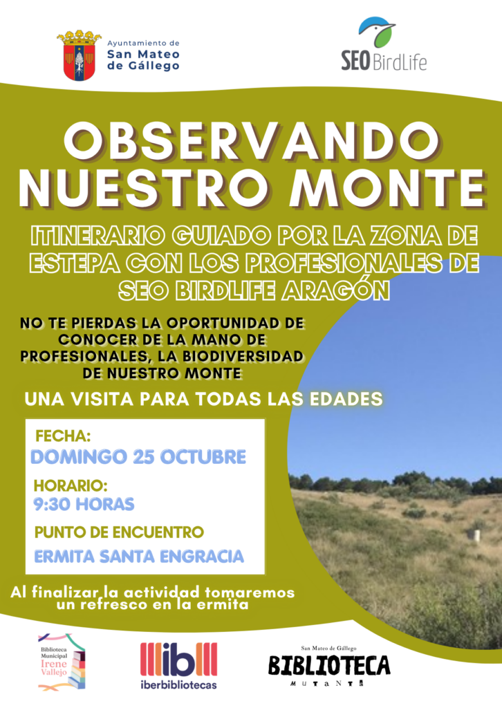 Observando nuestro monte SEO BIRDLIFE